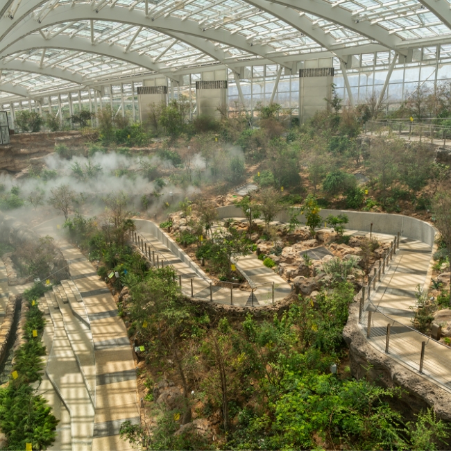Oman Botanic Garden