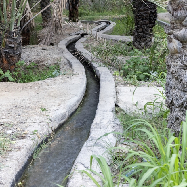 Oman Botanic Garden