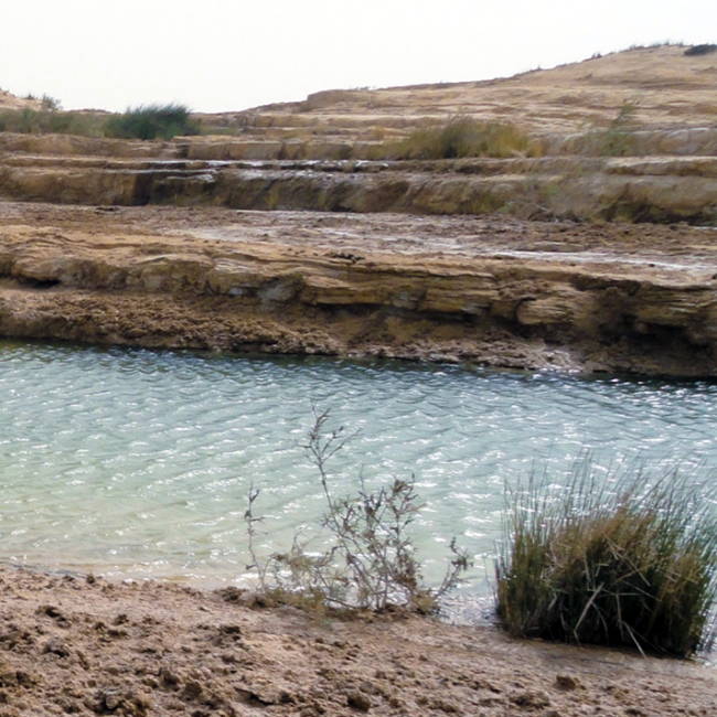 Oman Botanic Garden